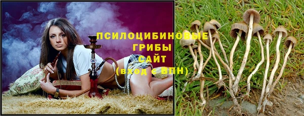 спайс Богородицк