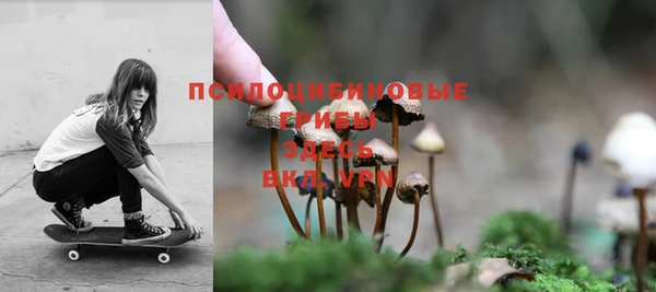 спайс Богородицк