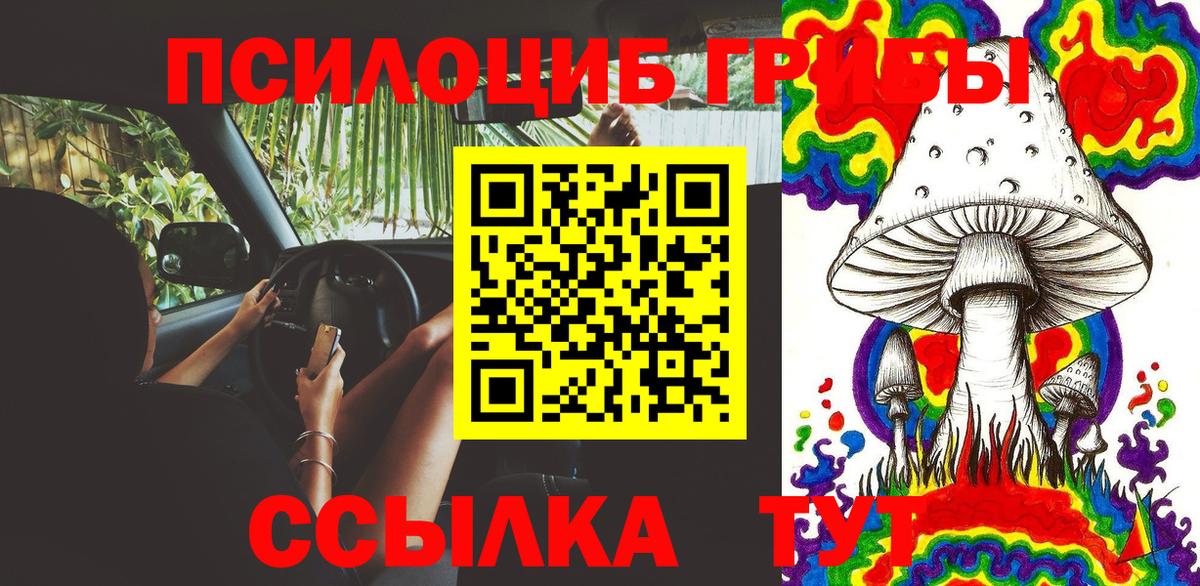 Псилоцибиновые грибы прущие грибы  Псилоцибиновые грибы MAGIC MUSHROOMS  Наро-Фоминск  Вход с VPN 